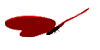 TNP
