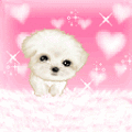 lovely_doll