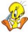 hoadt_81