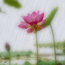 Tú_Yên