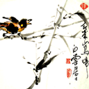 cucaiduong