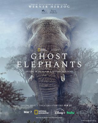 Voi Ma (Ghost Elephants)