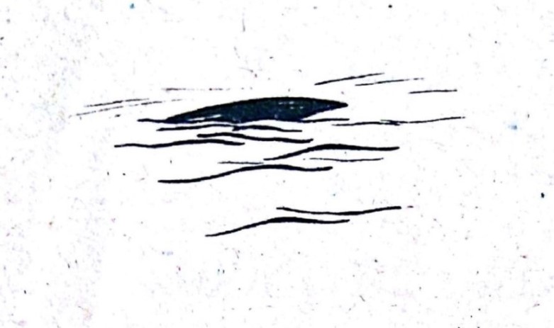 0006
