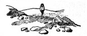 image007