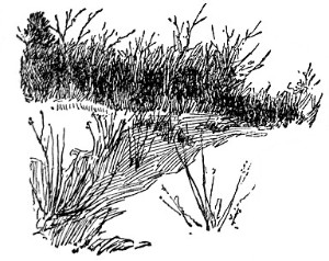image008