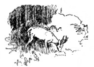 image022