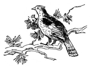 image029