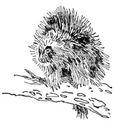 image030