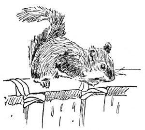 image031