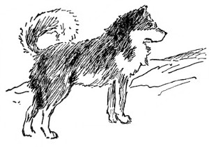 image032