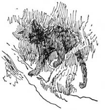 image035