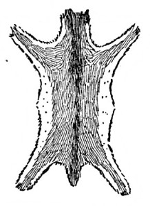 image036