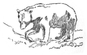 image043