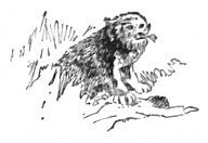 image045