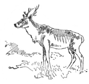 image047