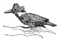 image051