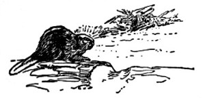 image053