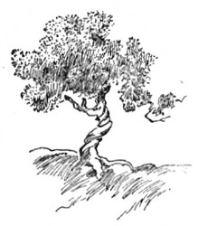 image060