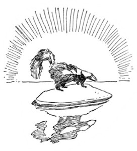 image061