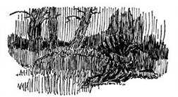 image066