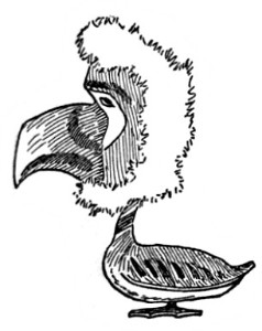 image071