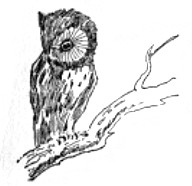 image074