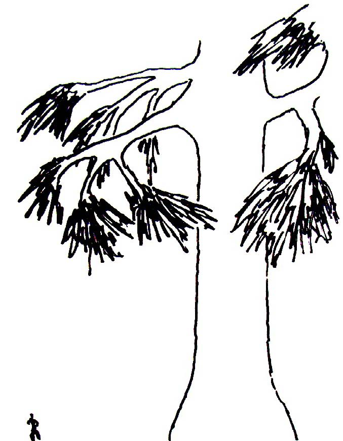 index-139_1.png