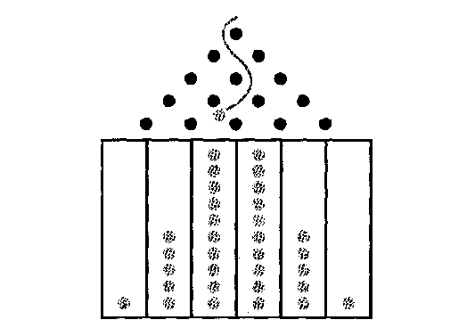 thienngaden12