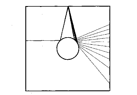 thienngaden5