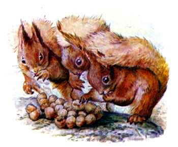 a16