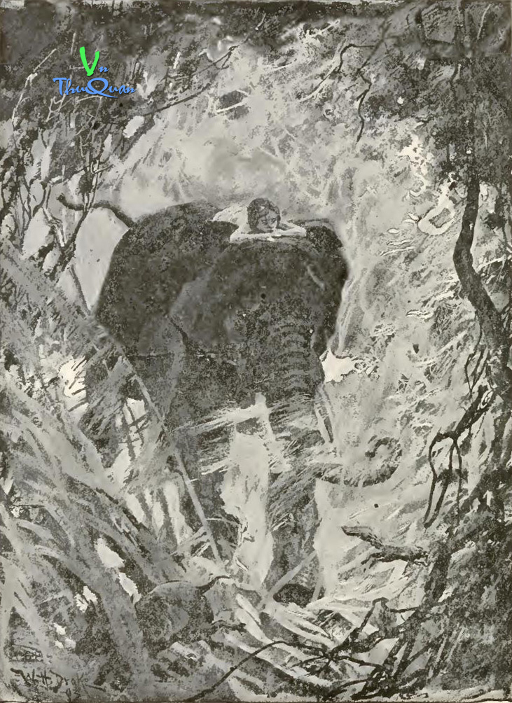 The Jungle Book