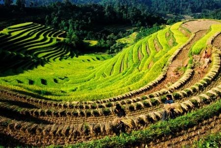 http://images.tienphong.vn/uploaded/images/b/3b7/b3b7bbeb2db65059da57e1b265db6810.jpg?width=500