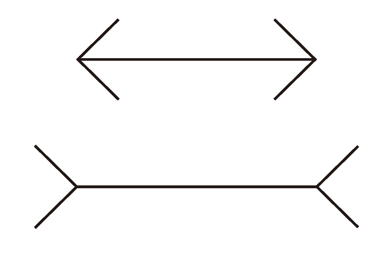 p123.jpg