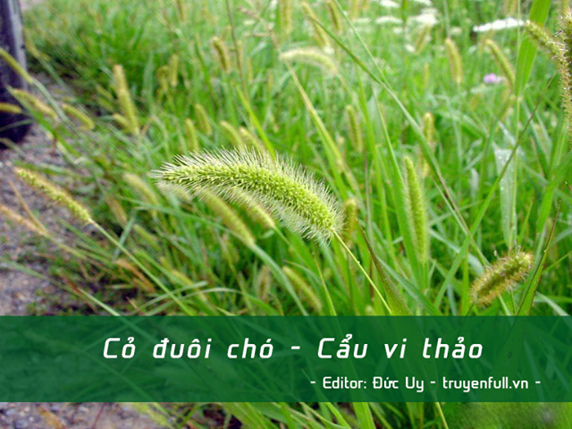 co_vo_ngot_ngao_co_chut_bat_luong__vo_moi_bat_luong_co_chut_ngot_chap2064_1.png