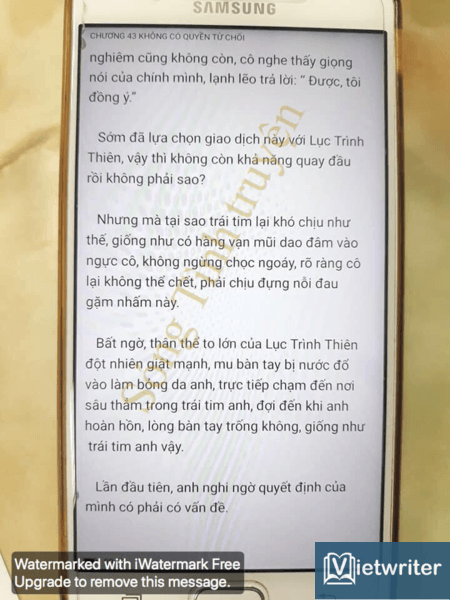 giai_nhan_va_luat_su_chap43_4.png