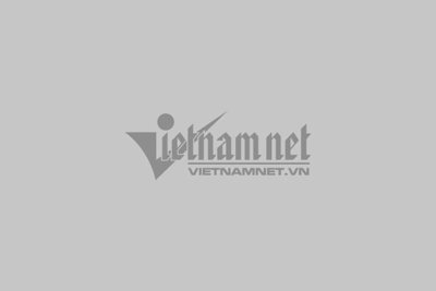 Tình Khúc Mong Manh