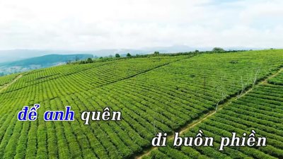Hối Tiếc