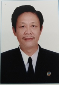 Tình Chỉ Là Giấc Mơ