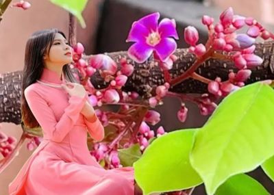 Chùm Hoa Khế Đã Xa