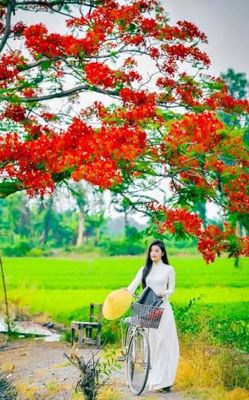 Dư Âm Mùa Hạ