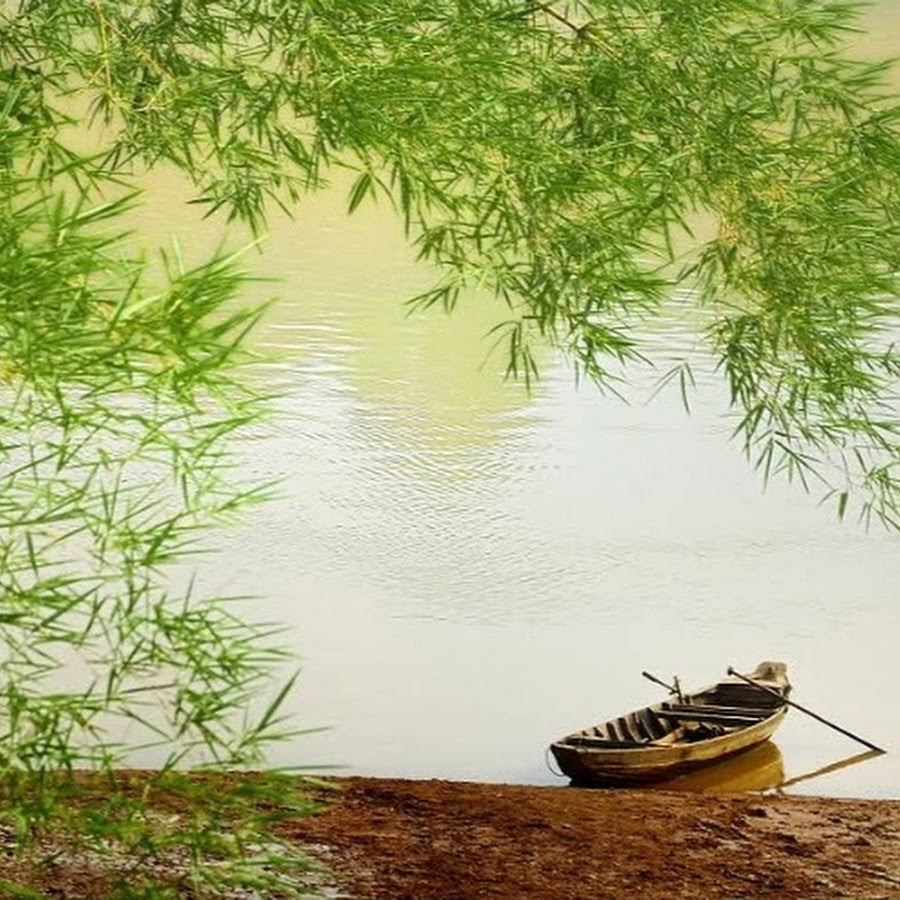 (chưa có ảnh)
