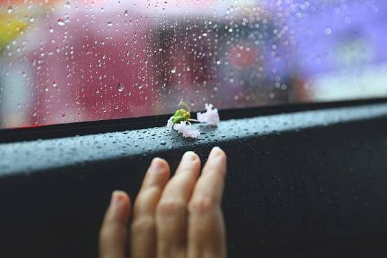 (chưa c&oacute; ảnh)