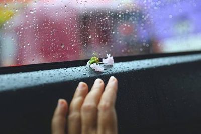 Mưa Bất Chợt