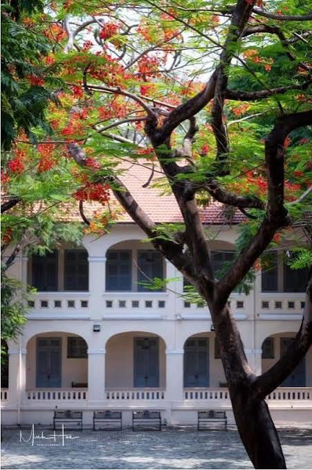 (chưa có ảnh)
