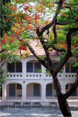 Trường Yêu Kỷ Niệm