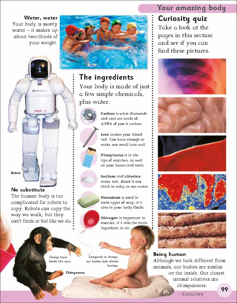 First Childrens Encyclopedia
