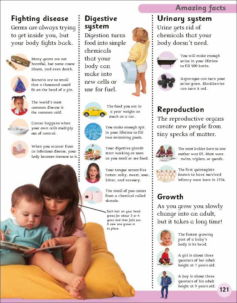 First Childrens Encyclopedia