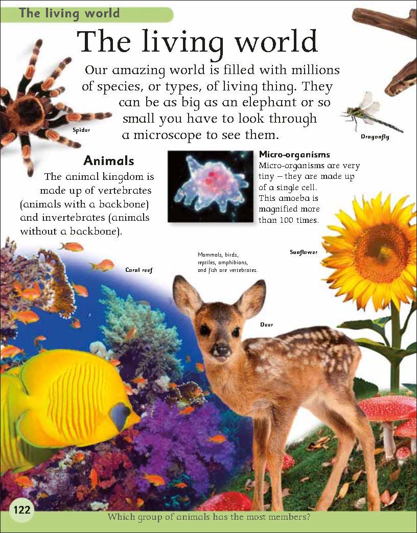 First Childrens Encyclopedia