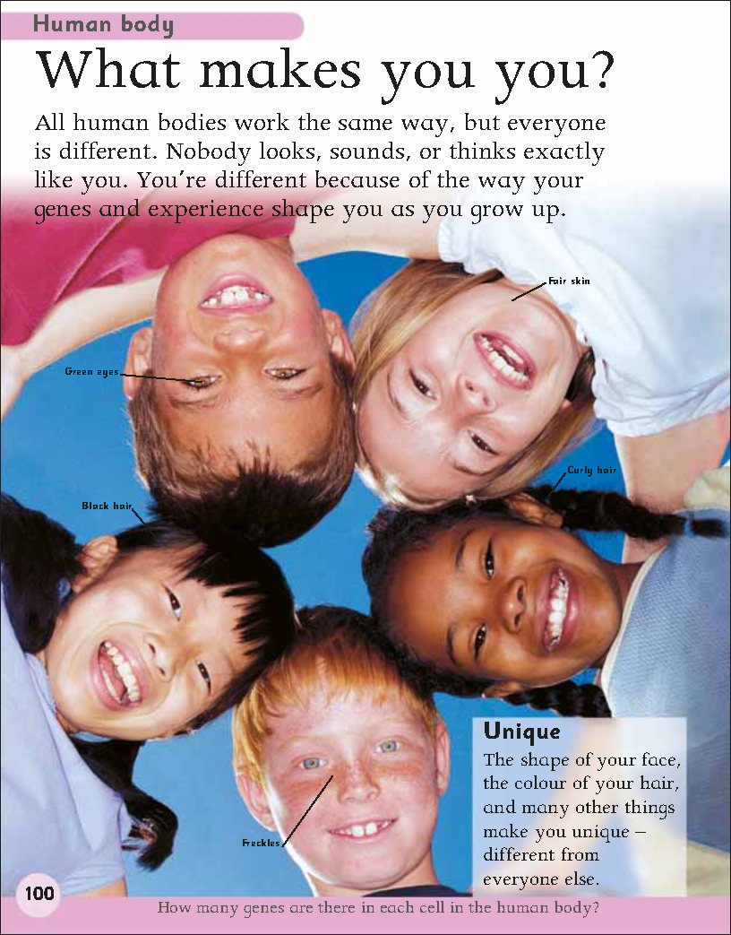 First Childrens Encyclopedia