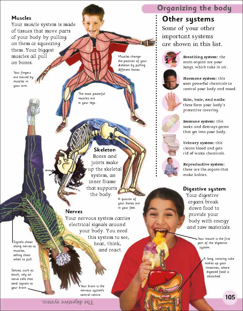 First Childrens Encyclopedia